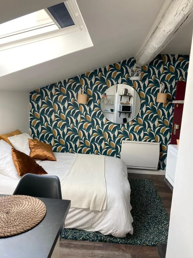 Studio Cocooning Et Refait A Neuf. Lyon 06