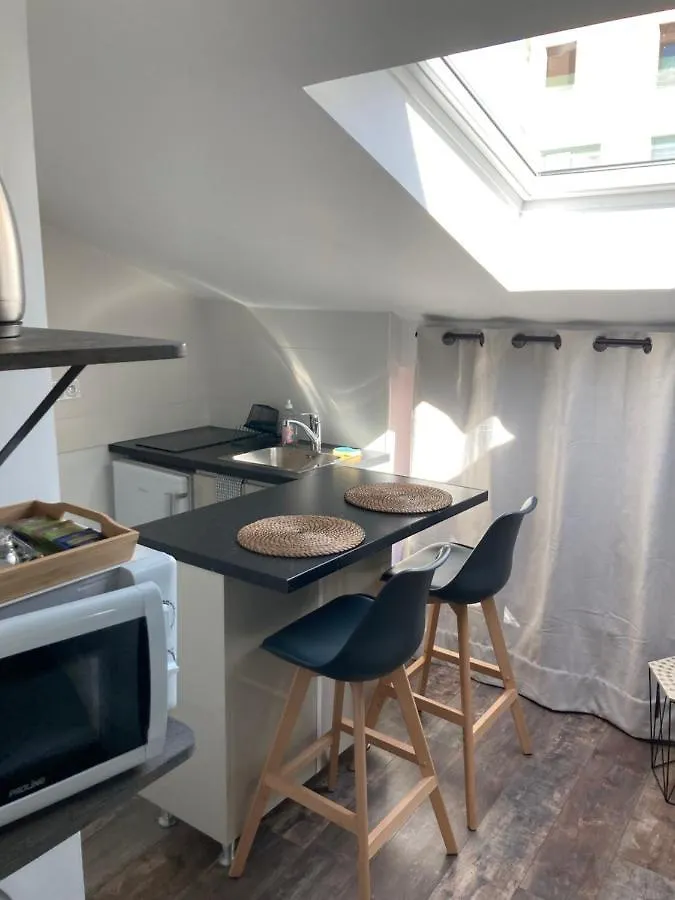 Studio Cocooning Et Refait A Neuf. Lyon 06 France