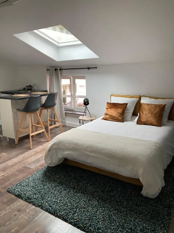 Studio Cocooning Et Refait A Neuf. Lyon 06 location